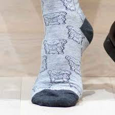 Men’s Bulldog face socks