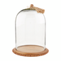 Small Wood and Glass Cloche Set - mudpie