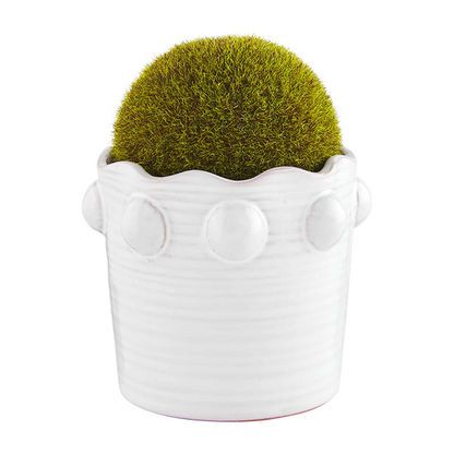 Small Moss Beaded Pot - mudpie
